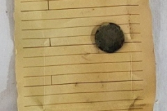 Coin-Penny
