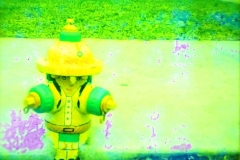 Chief-Running-Water-s17