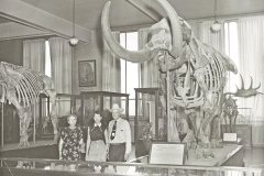 02-Mastodon-Correspondence-1953