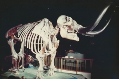 02-Mastodon-Correspondence-1980-Sent-to-Dodd