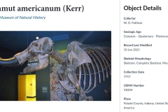 02-Mastodon-Smith-01