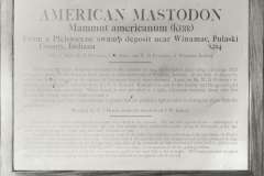 02-Mastodon-Smith-02