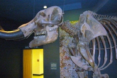 02-Mastodon-Smith-1