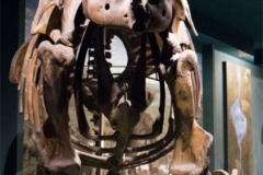 02-Mastodon-Smith-4