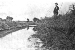 02-Mastodon-Smithsonsian-Book-Volume-66