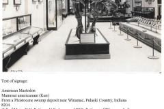 museum-information-from-FAMILY-Jennifer-Rumford-1_Page_1