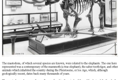 museum-information-from-FAMILY-Jennifer-Rumford-1_Page_2