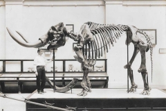 museum-information-from-FAMILY-Jennifer-Rumford-1_Page_3