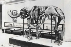 museum-information-from-FAMILY-Jennifer-Rumford-1_Page_4