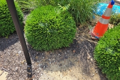 20240718_162818_resized