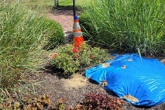 20240718_162856_resized