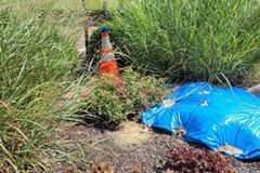 20240718_162903_resized