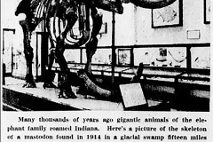 Photo-Mastodon-Found-copy