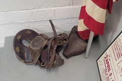 Photo-Saddle