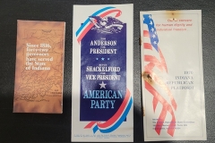 American-Party-1