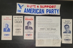 American-Party-3