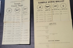 Ballot-Sample-State-and-County